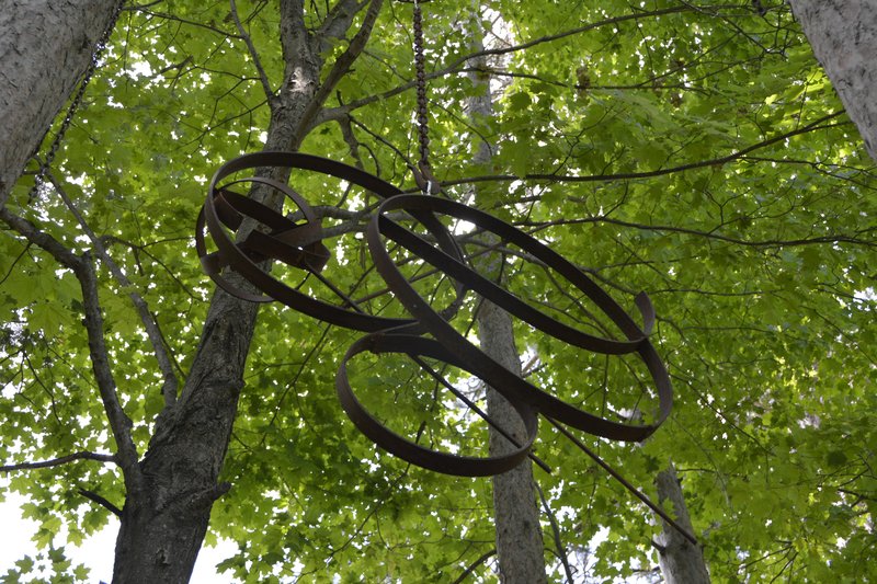 A cluster of metal rings hangs from a branch, the rusty metal contrasting with the green of the tree tops.